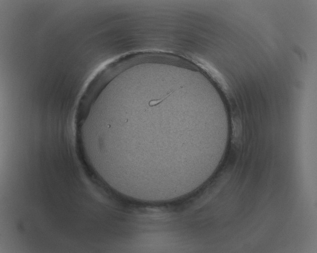 X0000116480580200912292048