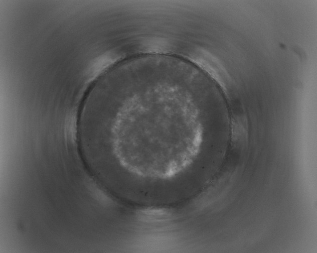 X0000116480581200912292048