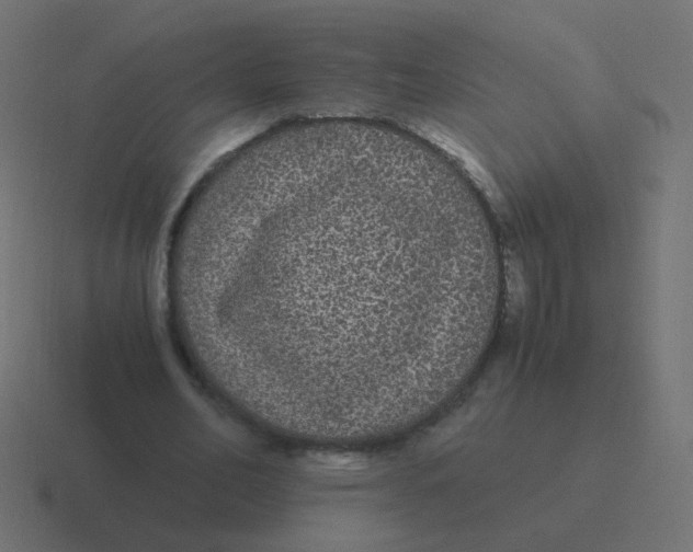 X0000116480582200912292048