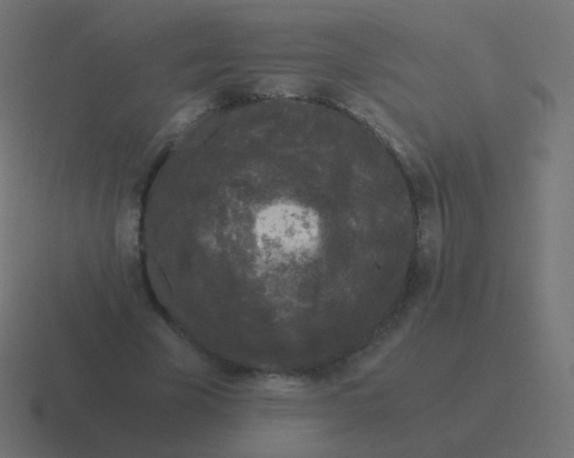 X0000116480585200912292048