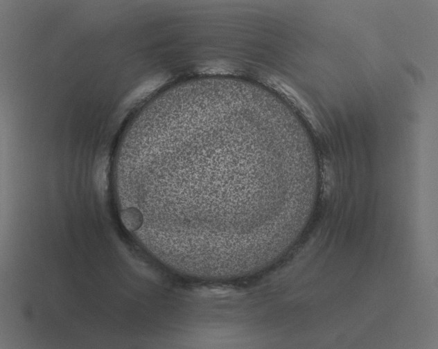 X0000116480586200912292048