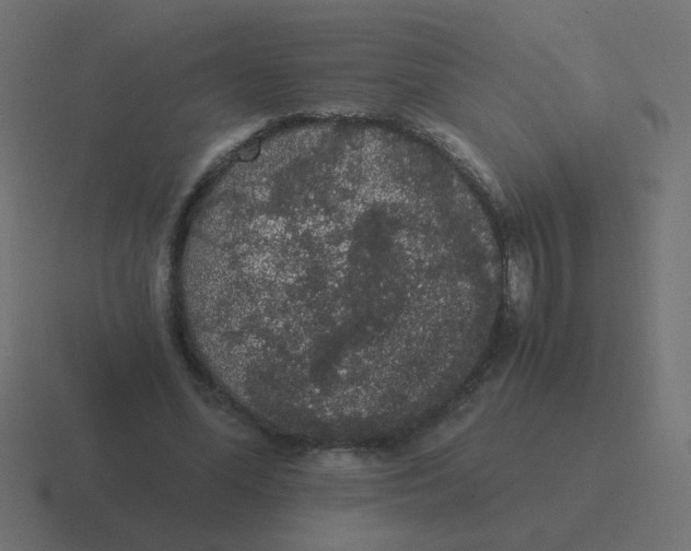 X0000116480588200912292047