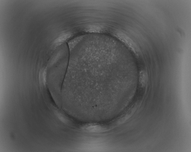 X0000116480589200912292047