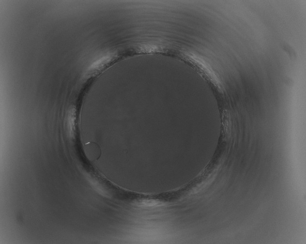 X0000116480590200912292047