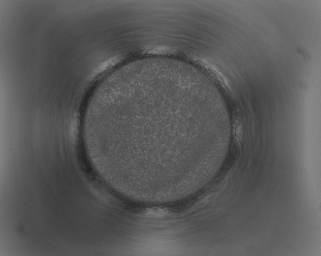 X0000116480591200912292047