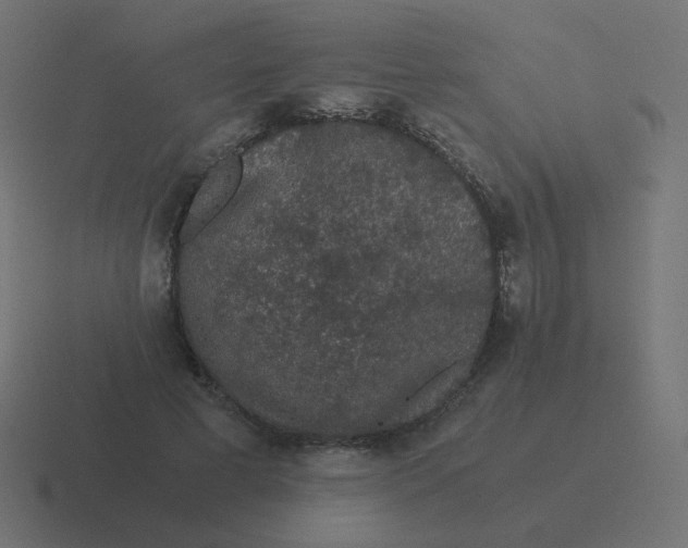 X0000116480593200912292047