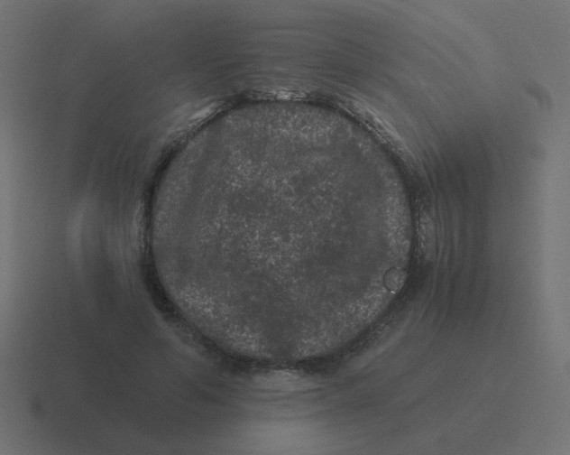 X0000116480594200912292047