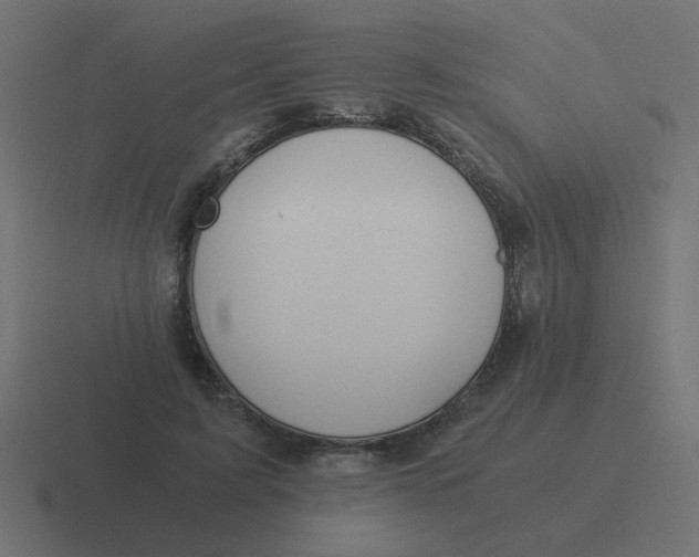 X0000116480595200912292047