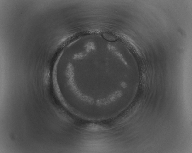 X0000116480596200912292047