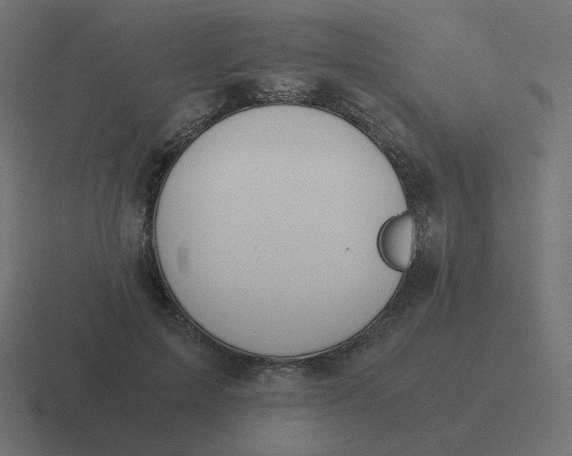 X0000116480599200912292047