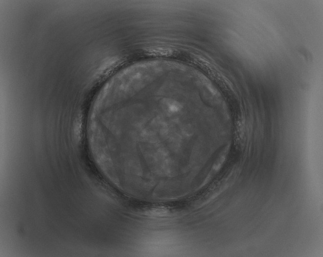 X0000116480600200912292047