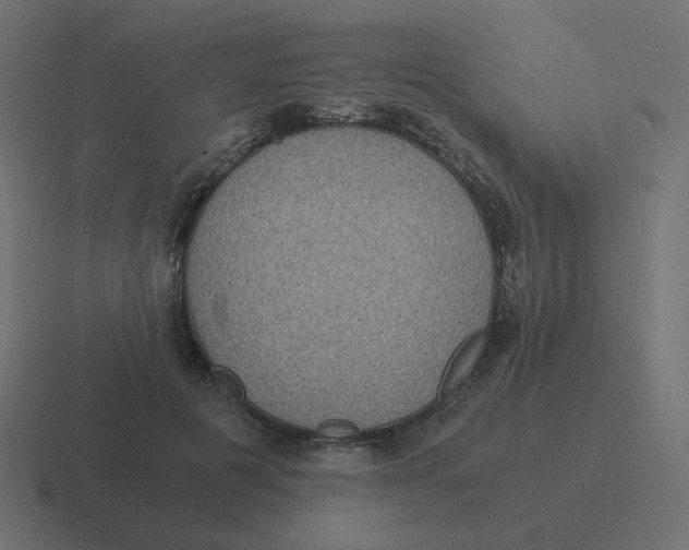 X0000116480601200912292047