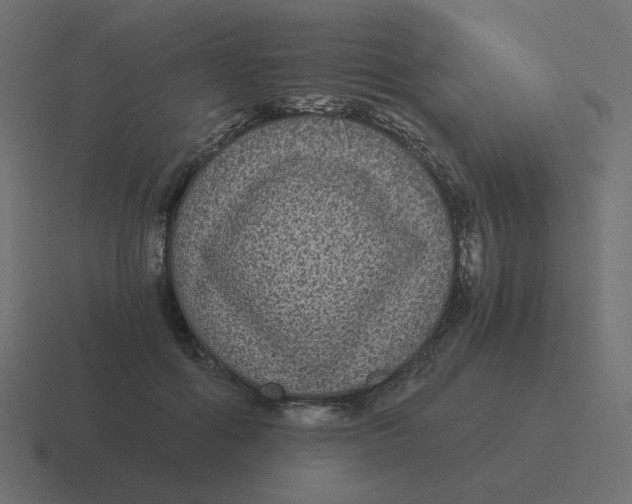 X0000116480602200912292047