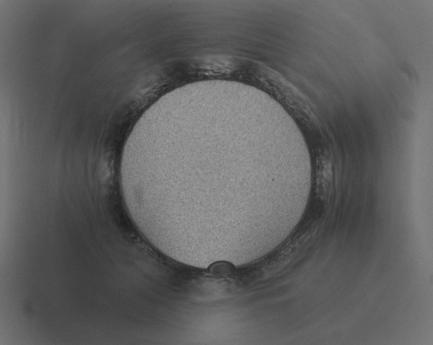 X0000116480608200912292047