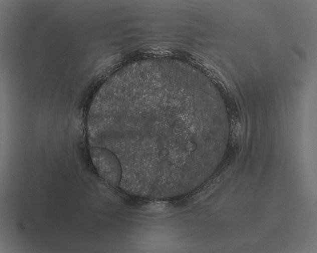 X0000116480609200912292047