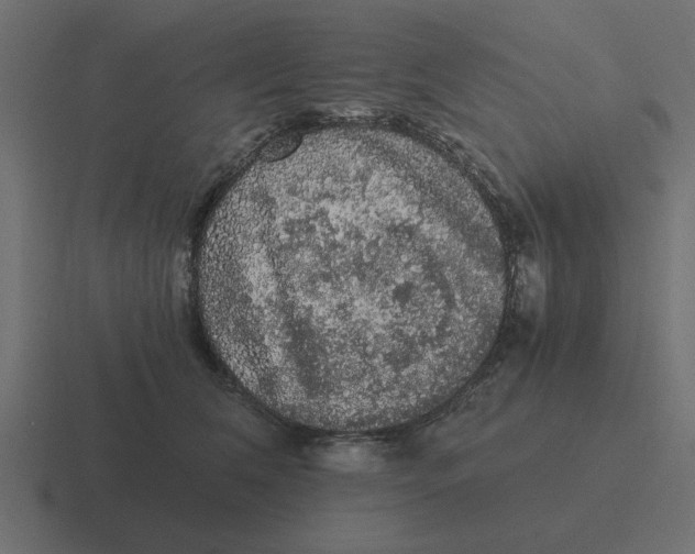 X0000116480612200912292047