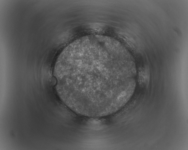 X0000116480613200912292047