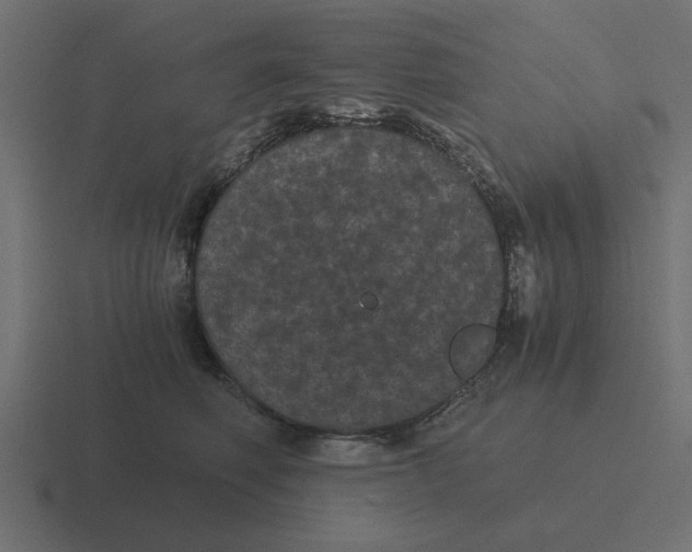 X0000116480614200912292047