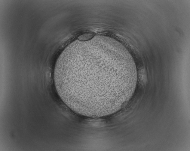 X0000116480615200912292047