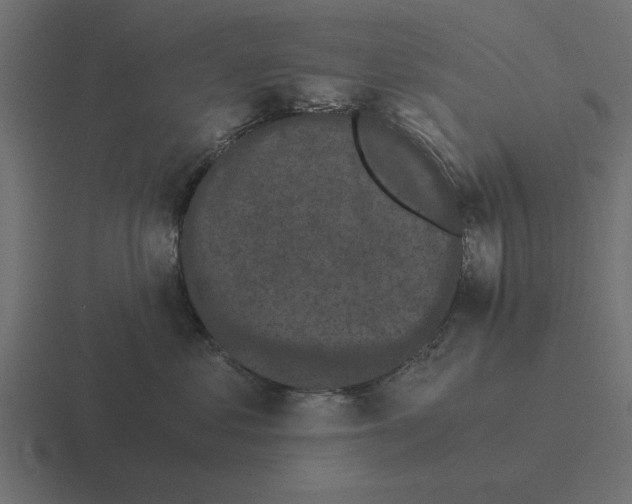 X0000116480621200912292047