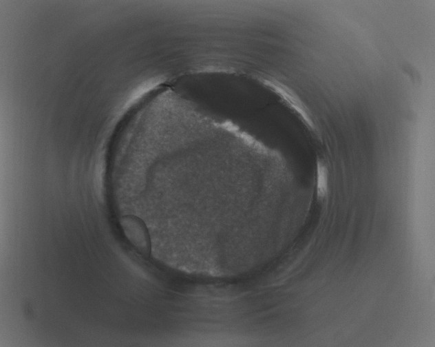 X0000116480627200912292046