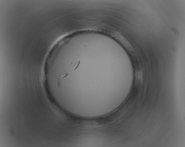 X0000116480628200912292046