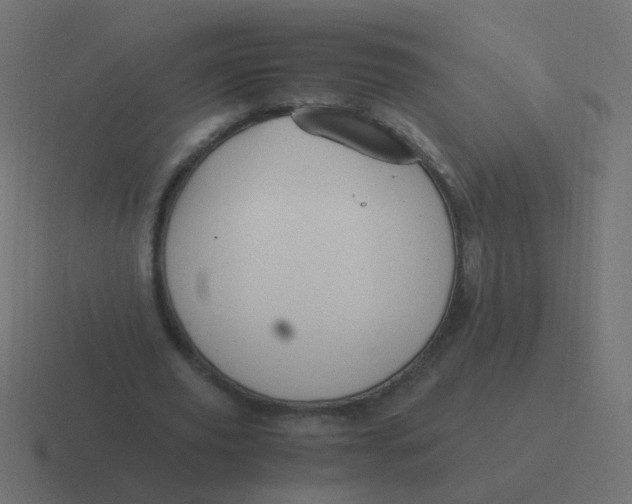 X0000116480629200912292046