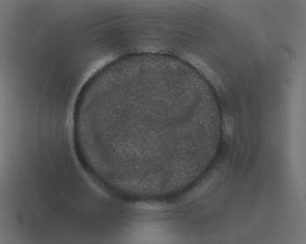 X0000116480630200912292047