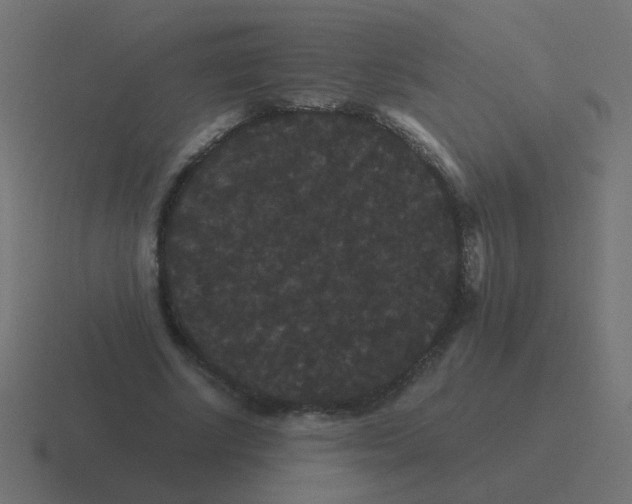 X0000116480634200912292047