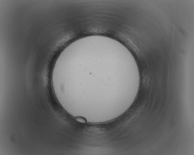 X0000116480635200912292047