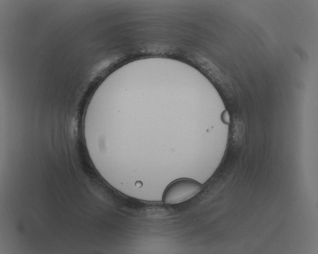 X0000116480636200912292047