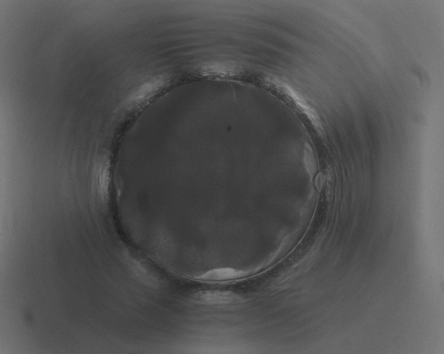 X0000116480637200912292047