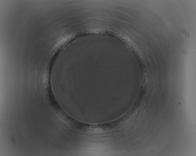 X0000116480640200912292047