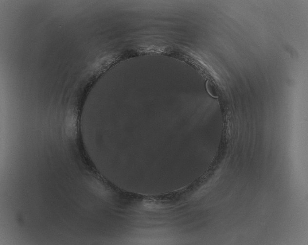 X0000116480641200912292047