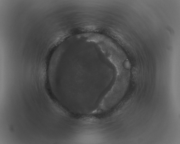 X0000116480642200912292047