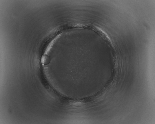 X0000116480643200912292047