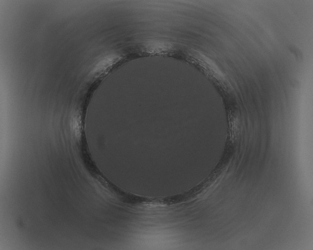 X0000116480644200912292047