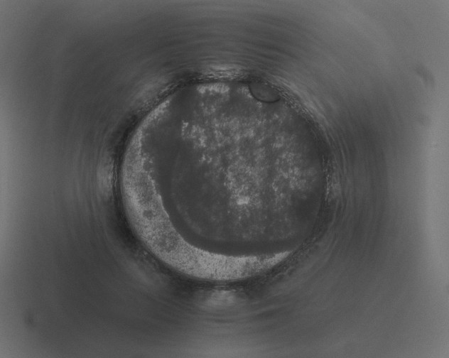 X0000116480647200912292047