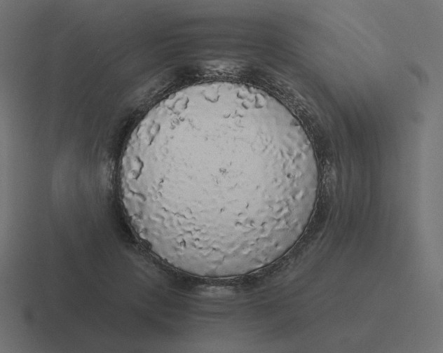 X0000116480649200912292047