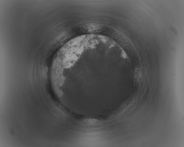 X0000116480650200912292047