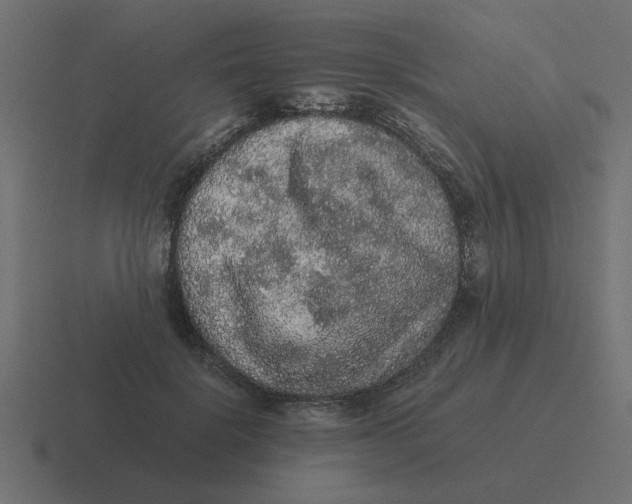 X0000116480652200912292047