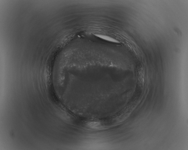 X0000116480653200912292047