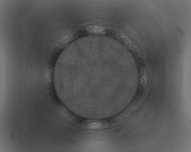 X0000116480658200912292047