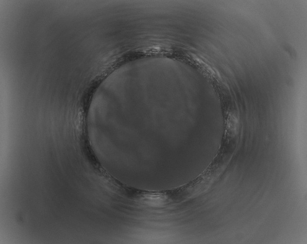 X0000116480659200912292047