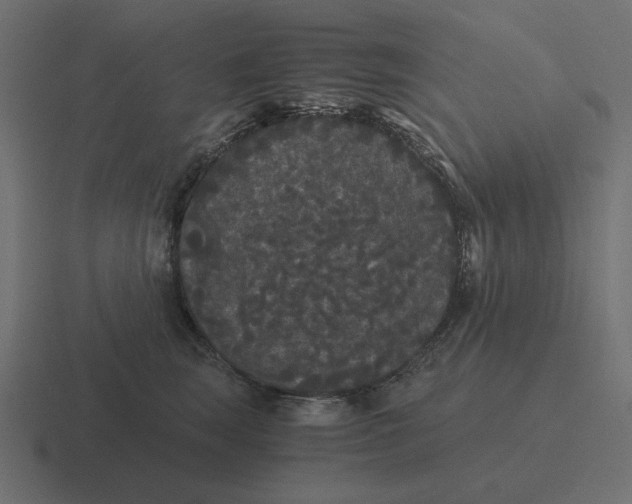 X0000116480663200912292047