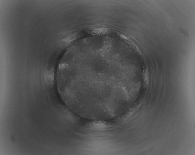 X0000116480668200912292047