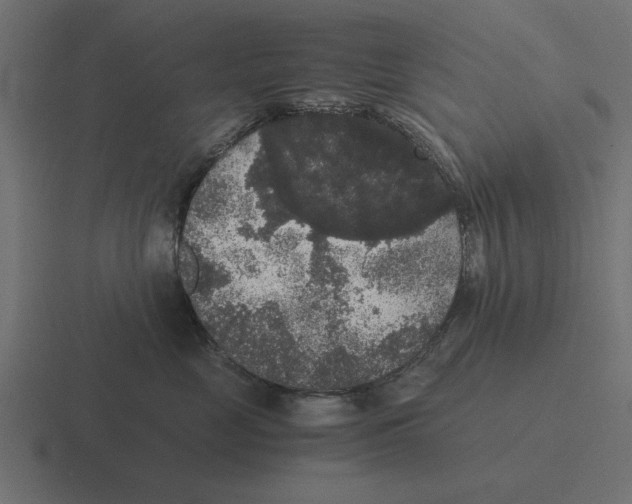 X0000116480669200912292047