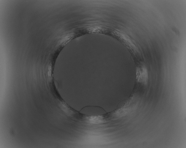 X0000116480670200912292047