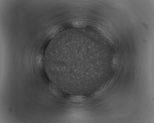 X0000116480671200912292047