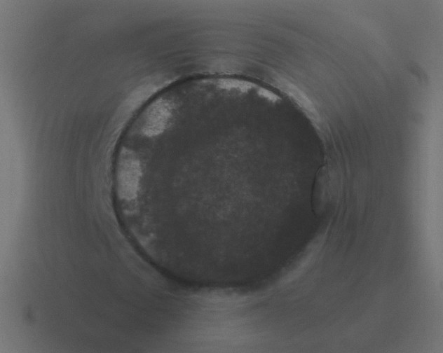 X0000116480673200912292046